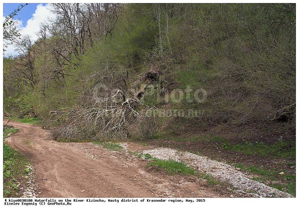 �������, ����, �������, ���������� �����, ������������� ����, ���, 2015, ������, ���������, ������, ������, ������, ����������, ����, �����, �������, �����, ���, �������, �����, �����