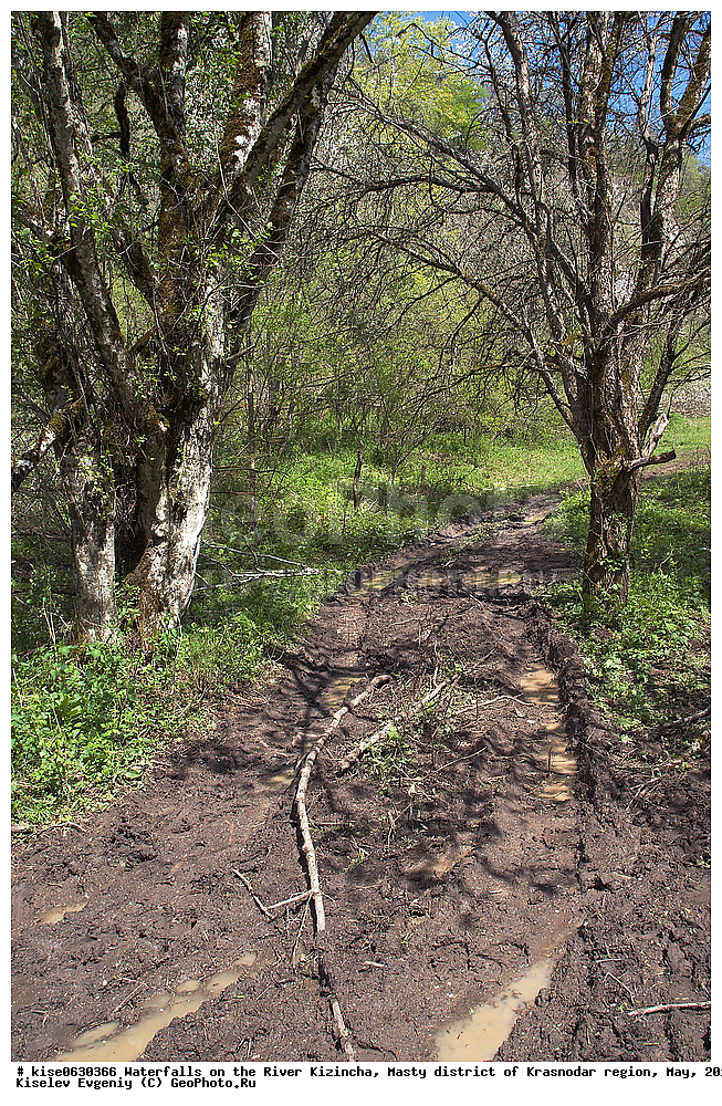 �������, ����, �������, ���������� �����, ������������� ����, ���, 2015, ������, ���������, ������, �����, ������, ���������, �����, �����, �����������, �����, ����, �����, �������, ���, ������, �����, �����