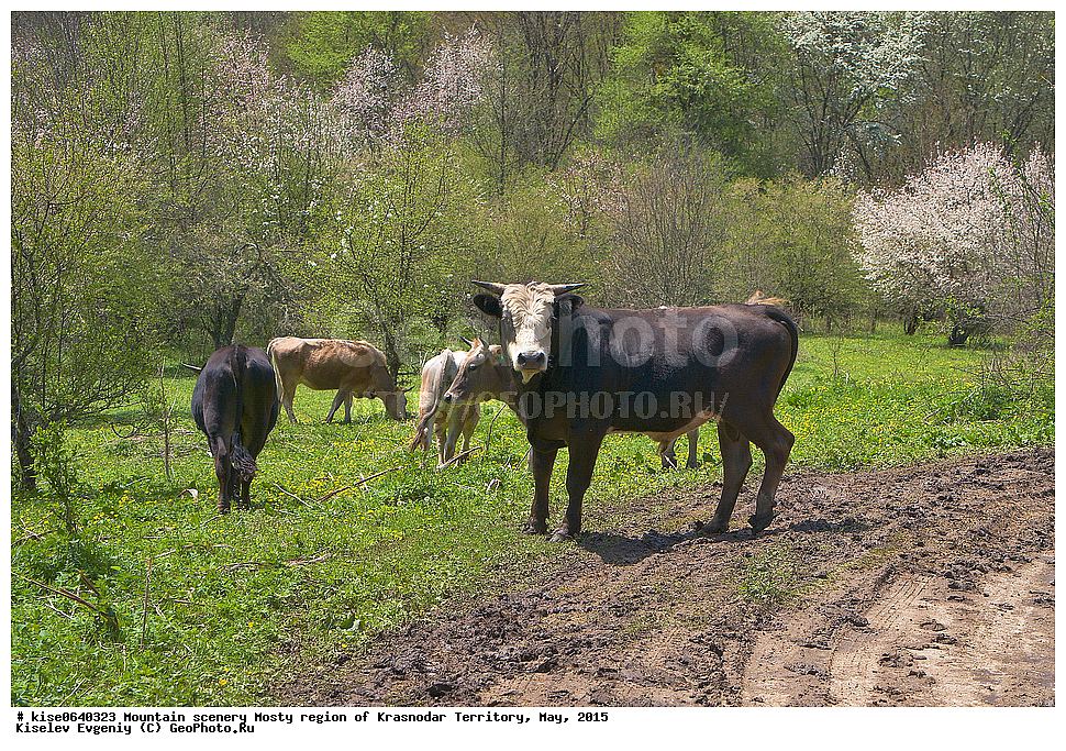 ����, ������, ���������� �����, ������������� ����, ���, 2015,  ������, ���������, ������, ������, ���������, �������, ������, �������, ��������������, �������, �����, ��������,