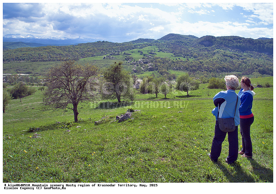 ����, ������, ���������� �����, ������������� ����, ���, 2015,  ������, �����, ���������, �������, ����, ������, ������, ����������, �����������, ��������������, ���, �������, ������, ����������, ���������, �������, 