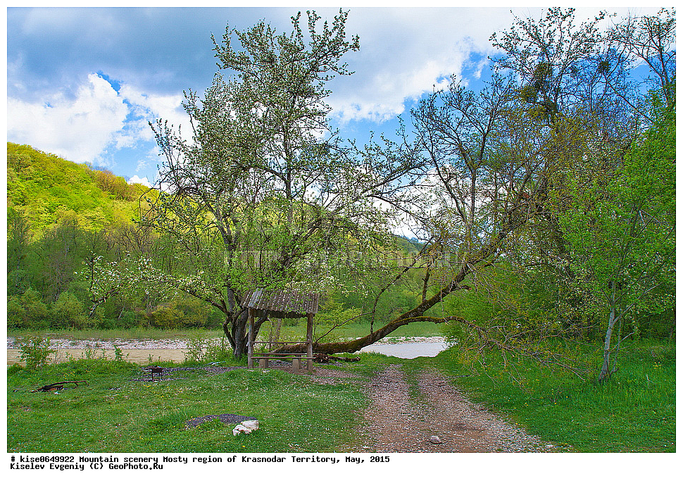 ����, ������, ���������� �����, ������������� ����, ���, 2015, ������, �����, �������, �����, ��������������, ������, ����, �����, ���������������, �������, �����, ������, ��������, �����, ����, �����, ������, �������, �����, �����������,