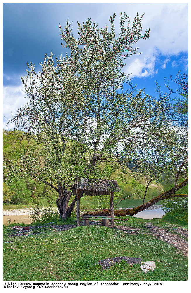 ����, ������, ���������� �����, ������������� ����, ���, 2015, ������, �����, �������, �����, ��������������, ������, ����, �����, ���������������, �������, �����, ������, ��������, �����, ����, �����, ������, �������, �����, �����������,