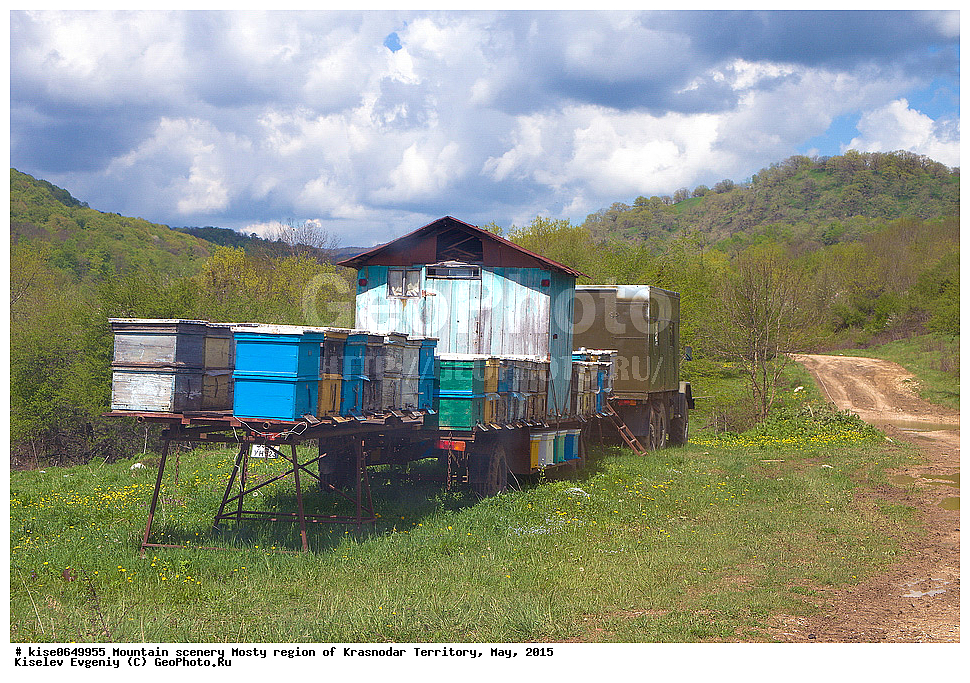 ����, ������, ���������� �����, ������������� ����, ���, 2015, ������, ���������, �������, ������, ������, ����, ���, �����, ����������, ������, ���, �����������, ����, ������, �����