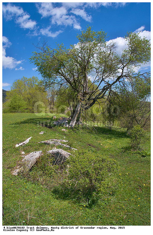 �������, �������, ��������, ���������� �����, ������������� ����, ������, �������, ����������, ���������, ���, �����������, ���������, ��������������, ���������, ������������, ������� ���������, ���������, ���������, ������� ����, ��������, ����, ����, ���������, ���������� ����, ����������, ����������, ����������, �����, �������, �����, ������, ��������, ��������������, ������, �������, ������, ��������