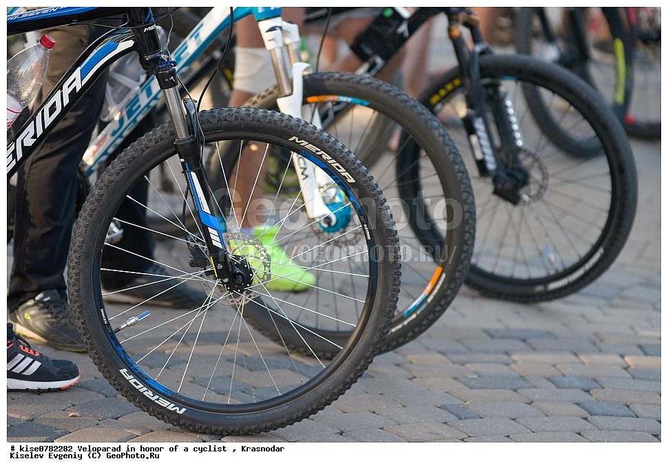 ���������, ������������,���������, �����, ������, ������������� ����, ����, �����, ��������, ���� �������������, ���������, ����, ������, ������, �������, ��������, �����, �����, ��������, ��������, �����,  ��������