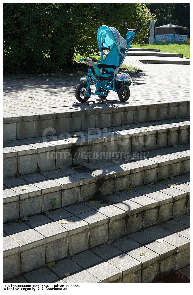 ������� ����, ����� ����, ����, ������������� ����, ������, ����, ��������� ����, ����, �������, �����, ����������, ��������, �������, �������, �������, ��������