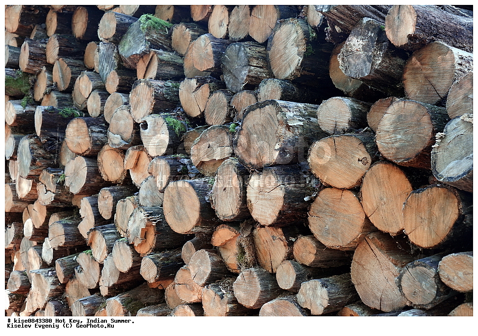 ������� ����, ����� ����, ����, ������������� ����, ������, ����, ����, ���������, �����, ��������� 