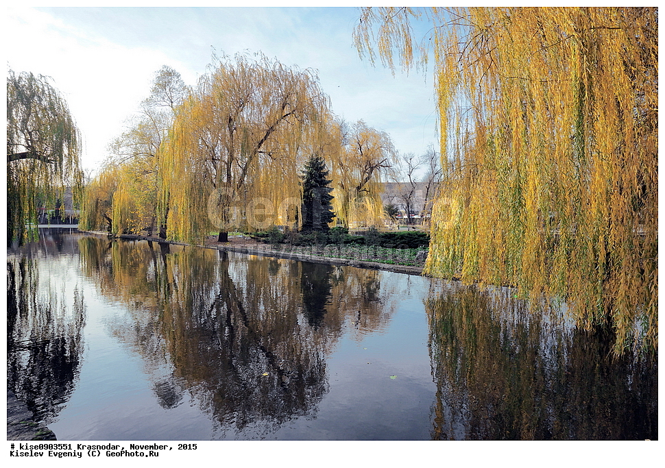 ���������, ������������� ����, ������, ������, �����, 2015 ���, ��������� ������,  ����, ��������� ���, ����, �����, ����, �����, ���������, ������, �������, ���, ����, ����, ������, �������, �������, �������, ����, ��������, �����, �����, ������,