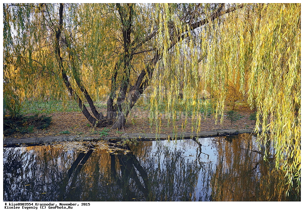 ���������, ������������� ����, ������, ������, �����, 2015 ���, ��������� ������,  ����, ��������� ���, ����, �����, ����, �����, ���������, ������, �������, ���, ����, ����, ������, �������, �������, �������, ����, ��������, �����, �����, ������,