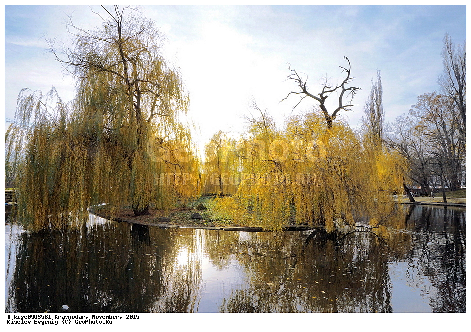 ���������, ������������� ����, ������, ������, �����, 2015 ���, ��������� ������,  ����, ��������� ���, ����, �����, ����, �����, ���������, ������, �������, ���, ����, ����, ������, �������, �������, �������, ����, ��������, �����, �����, ������,