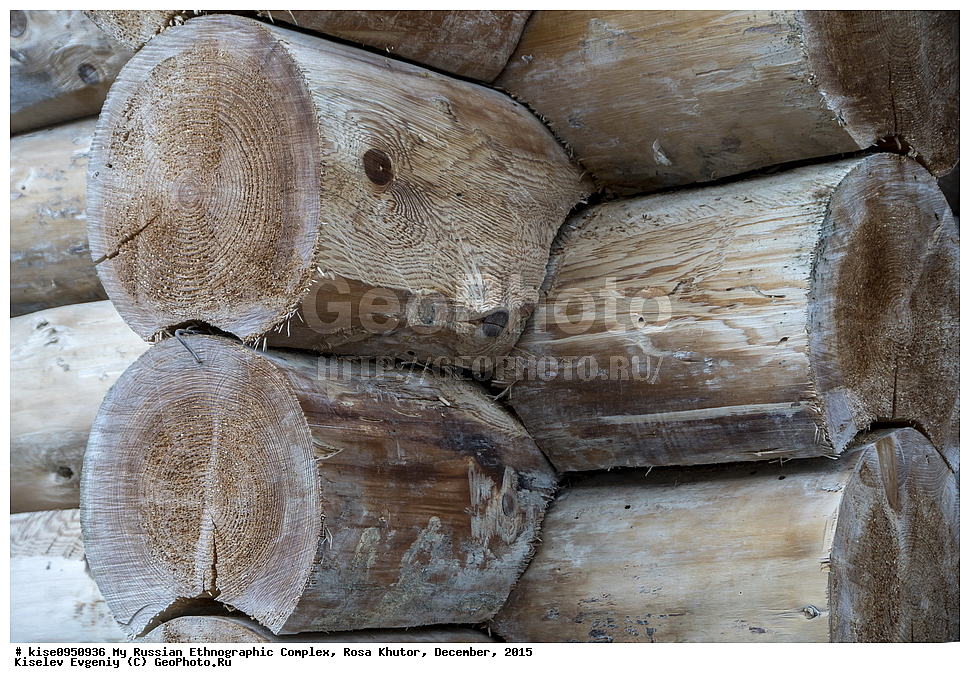 ���� �����, ����, �������, 2015 ���, ������������� ����, ������, ������� ������, ��������������� �������, ��� ������, �����, ���, ����, ������, ������, ��������, ����, ����