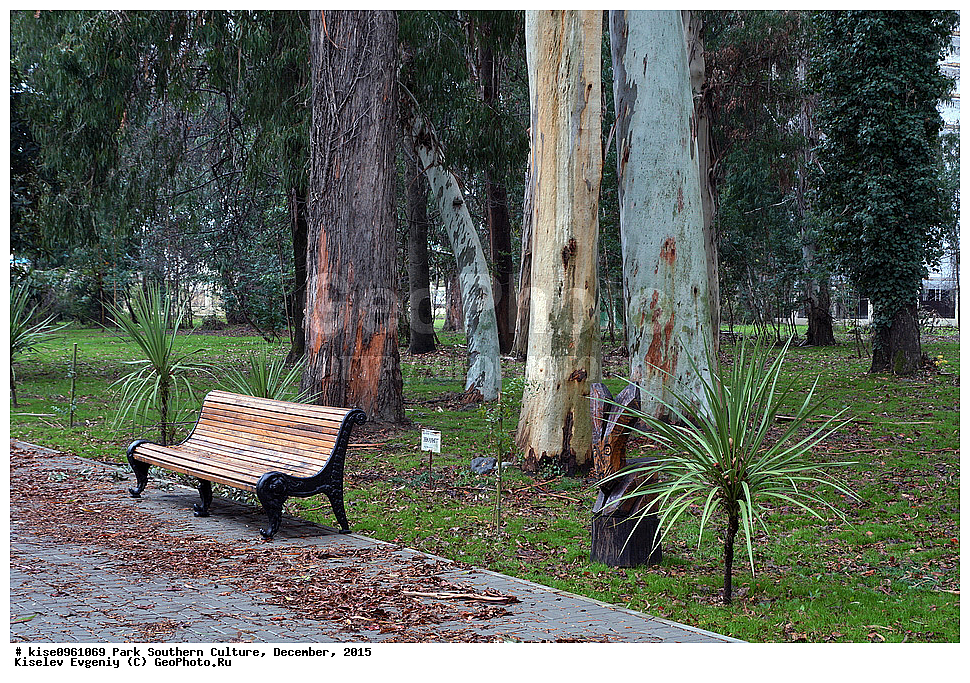 ����, ����� ��������, �������, ����, ����������� �����, ����, ������, 2015 ���,  �����, ������, ��������� ������������ ����, �������, �����, �������, ������, ��������, �������, ������, ��������, �����, �����,, ������