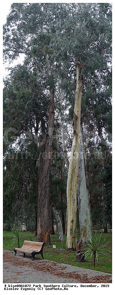 ����, ����� ��������, �������, ����, ����������� �����, ����, ������, 2015 ���,  �����, ������, ��������� ������������ ����, �������, �����, �������, ������, ��������, �������, ������, ��������, �����, �����,, ������