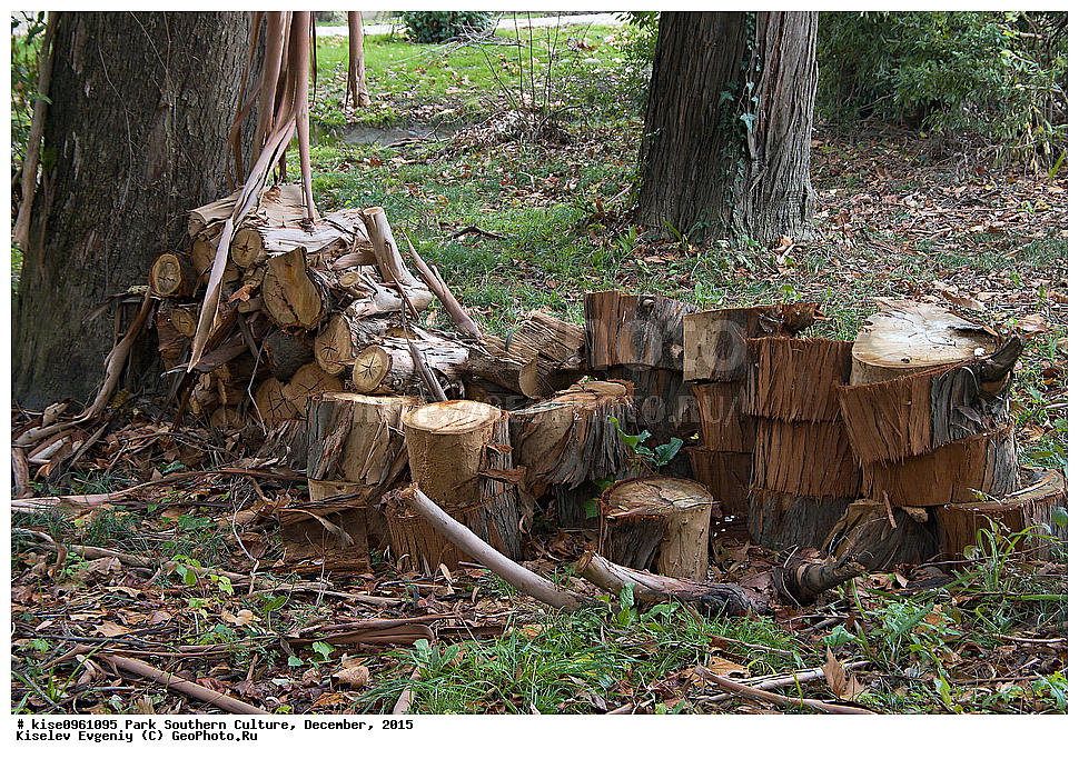 ����, ����� ��������, �������, ����, ����������� �����, ����, ������, 2015 ���,
 �����, ������, ��������� ������������ ����, ������, �������, ������� ������, ���������� �����, �����, �����, ���������