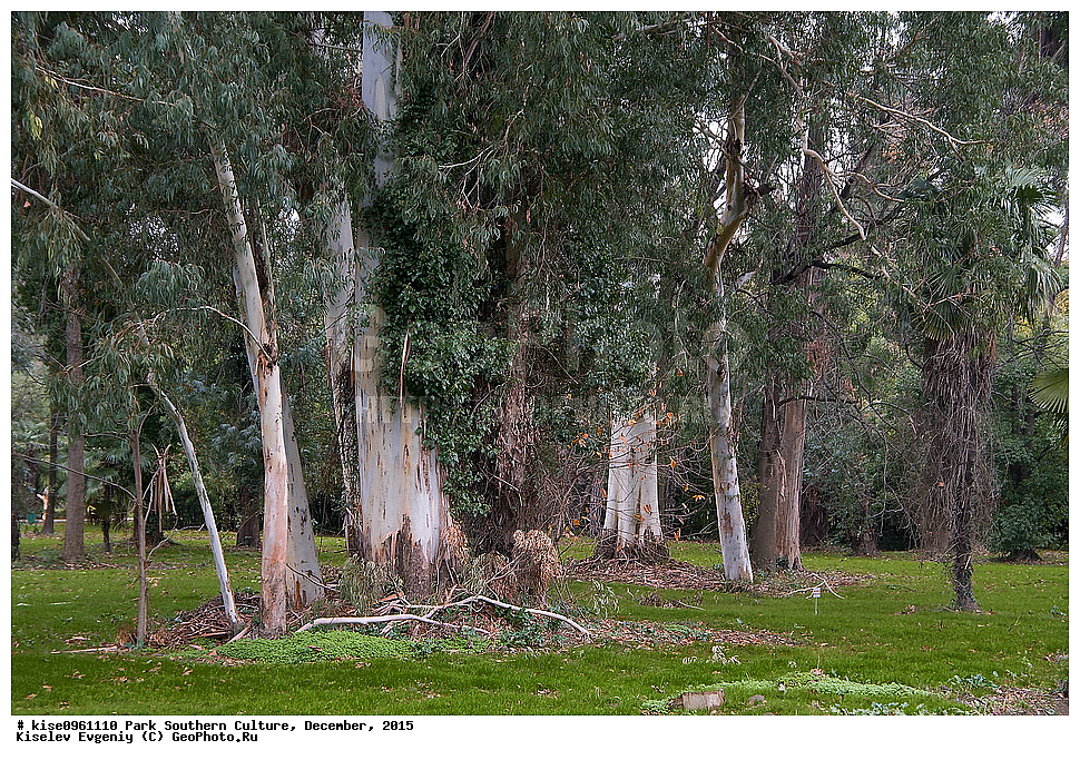 ����, ����� ��������, �������, ����, ����������� �����, ����, ������, 2015 ���,  �����, ������, ��������� ������������ ����, �������, �����, �������, ������, ��������, �������, ������, ��������, �����, �����,, ������