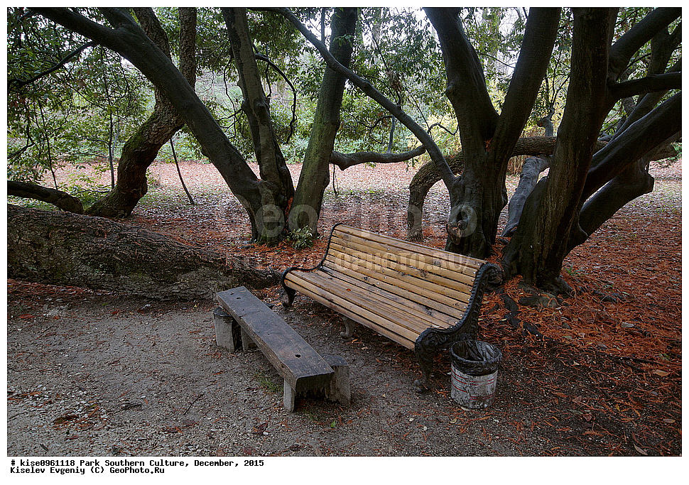 ����, ����� ��������, �������, ����, ����������� �����, ����, ������, 2015 ���,  �����, ������, ��������� ������������ ����, �������, ������, �������, ������, �����, �����, ����, ����, ������, ������, �������, ������, ������