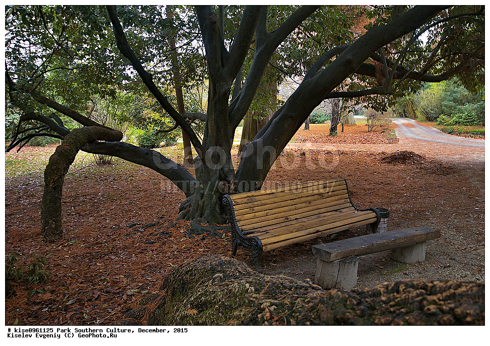 ����, ����� ��������, �������, ����, ����������� �����, ����, ������, 2015 ���,  �����, ������, ��������� ������������ ����, �������, ������, �������, ������, �����, �����, ����, ����, ������, ������, �������, ������, ������