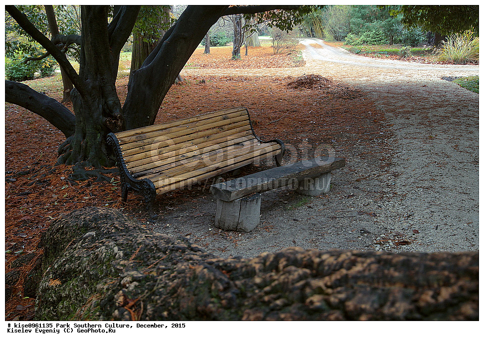 ����, ����� ��������, �������, ����, ����������� �����, ����, ������, 2015 ���,  �����, ������, ��������� ������������ ����, �������, ������, �������, ������, �����, �����, ����, ����, ������, ������, �������, ������, ������