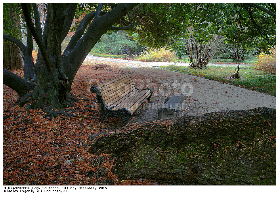 ����, ����� ��������, �������, ����, ����������� �����, ����, ������, 2015 ���,  �����, ������, ��������� ������������ ����, �������, ������, �������, ������, �����, �����, ����, ����, ������, ������, �������, ������, ������