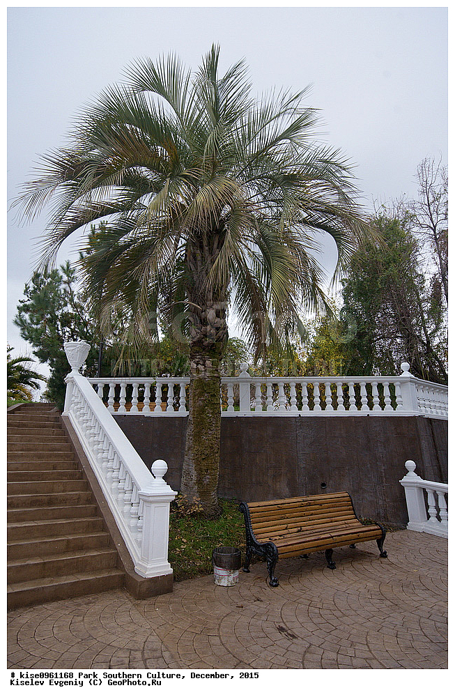 ����, ����� ��������, �������, ����, ����������� �����, ����, ������, 2015 ���, ������, �����, �����������,  ����� �����, ����������, ����������, ��������, �����, ������, �������, ��������������, ������, �����, ������, ������