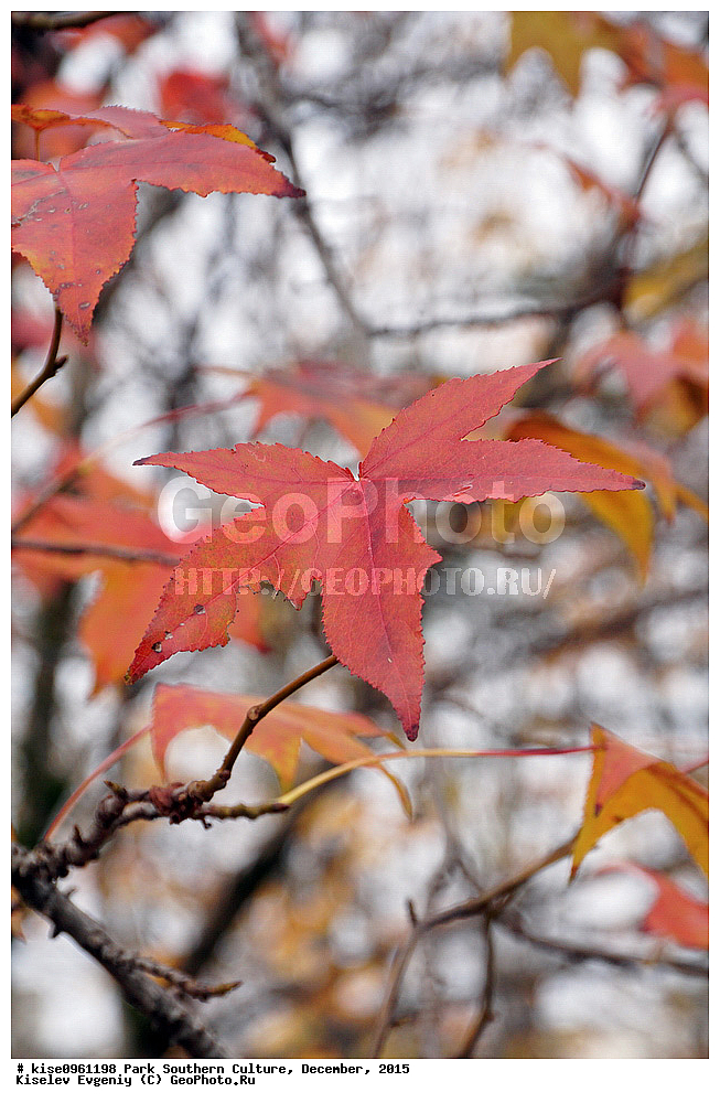 ����, ����� ��������, �������, ����, ����������� �����, ����, ������, 2015 ���, �����, ������, ��������� ������������ ����, �������, �����, ������, ����, ����, �������, ��������, 