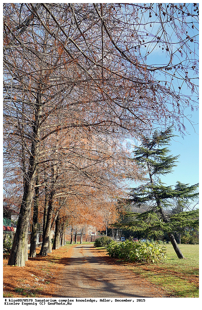 ���������-��������� ��������, ������, �����, ������, �������, 2015 ���, ������������� ����, ����, ����������, ����, �������, ������, �����, �����, ����, ������, �����, ������