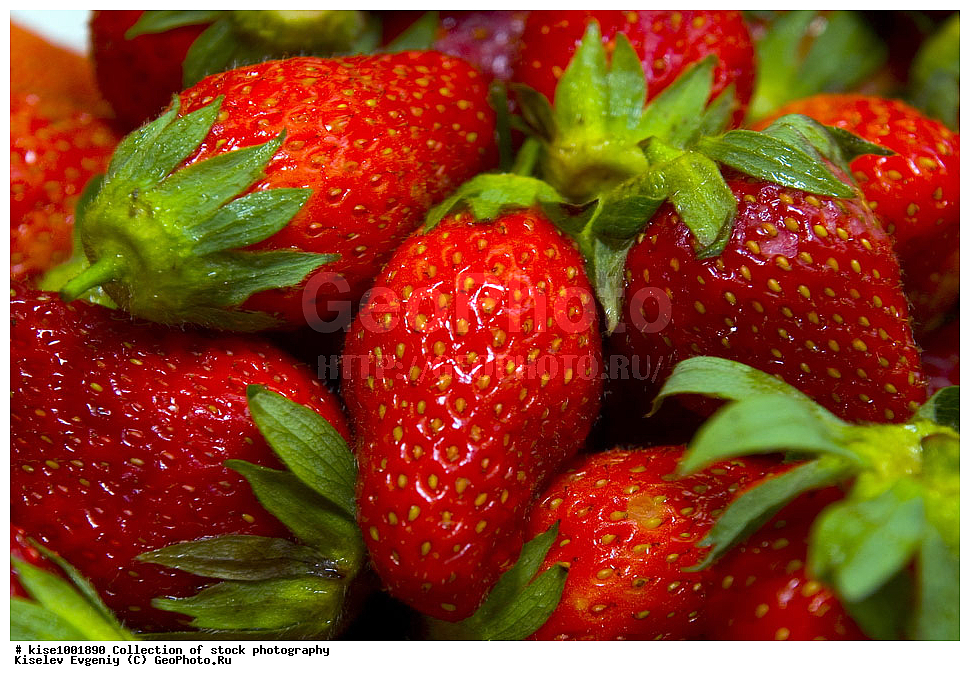 ������, ������, ������������� ����, �������� ���������, ����������, ���, ������,  ������, �����, ��������, ���������, �������, ���������, ���������, ����, ��������,�������� ���������� 