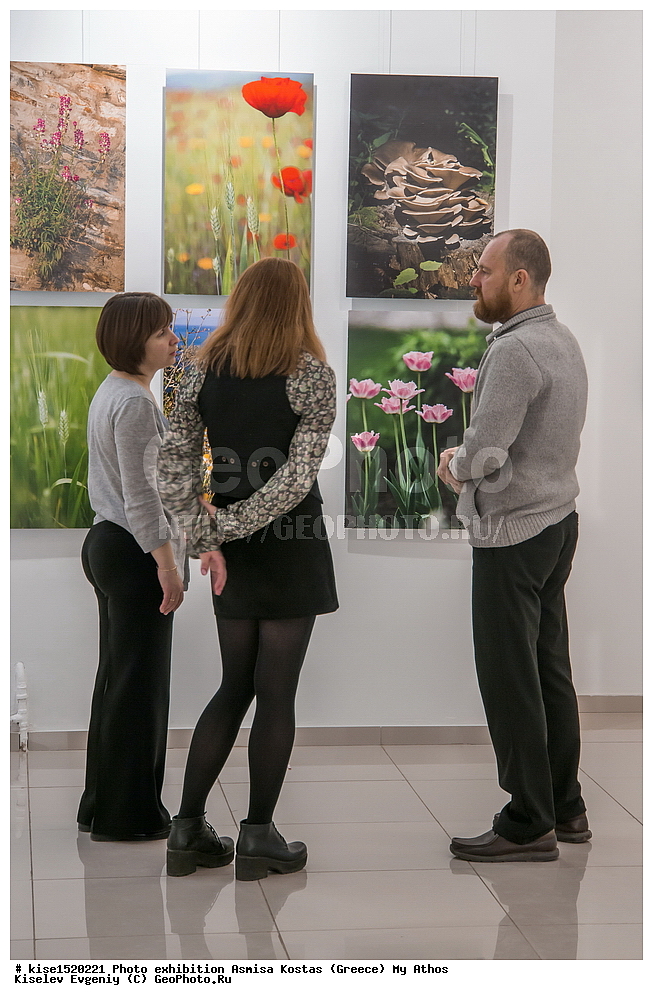 ������������, ������� ������, ������, ��� ����, ��������, ������ ������, ������, ��������, ������������, ����������, �����, ���, ����������, ����������, �������, �����, �������, ������, ��������