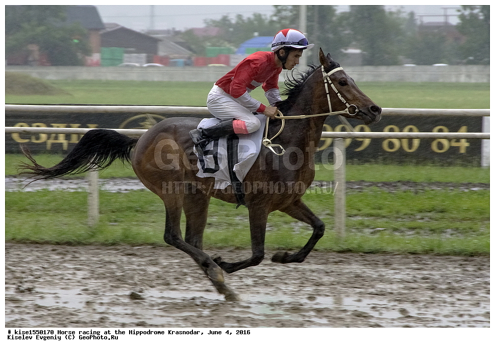 ������, ��������, ������, ����, ����, �������, ������, ����� ���������, ������������� ��������, ������ �����, ����, �����, �����, ��������, �������, ��������, �����, �������, ������������