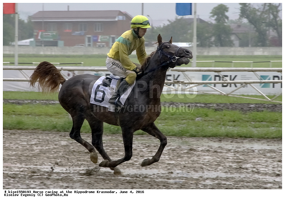 ������, ��������, ������, ����, ����, �������, ������, ����� ���������, ������������� ��������, ������ �����, ����, �����, �����, ��������, �������, ��������, �����, �������, ������������