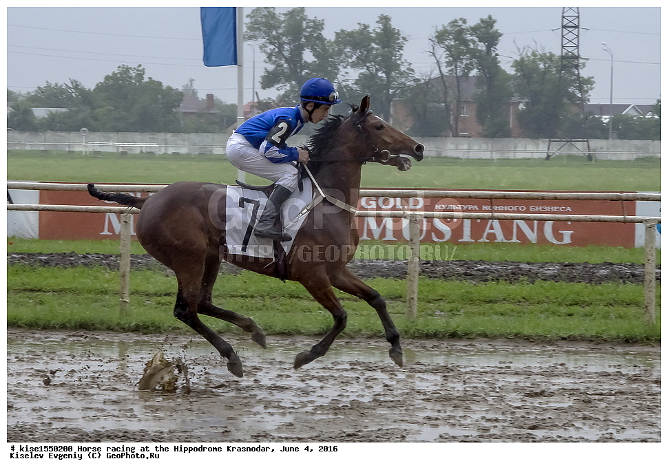 ������, ��������, ������, ����, ����, �������, ������, ����� ���������, ������������� ��������, ������ �����, ����, �����, �����, ��������, �������, ��������, �����, �������, ������������