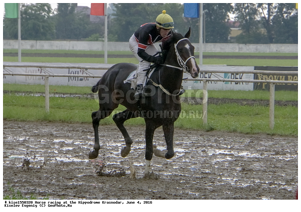 ������, ��������, ������, ����, ����, �������, ������, ����� ���������, ������������� ��������, ������ �����, ����, �����, �����, ��������, �������, ��������, �����, �������, ������������