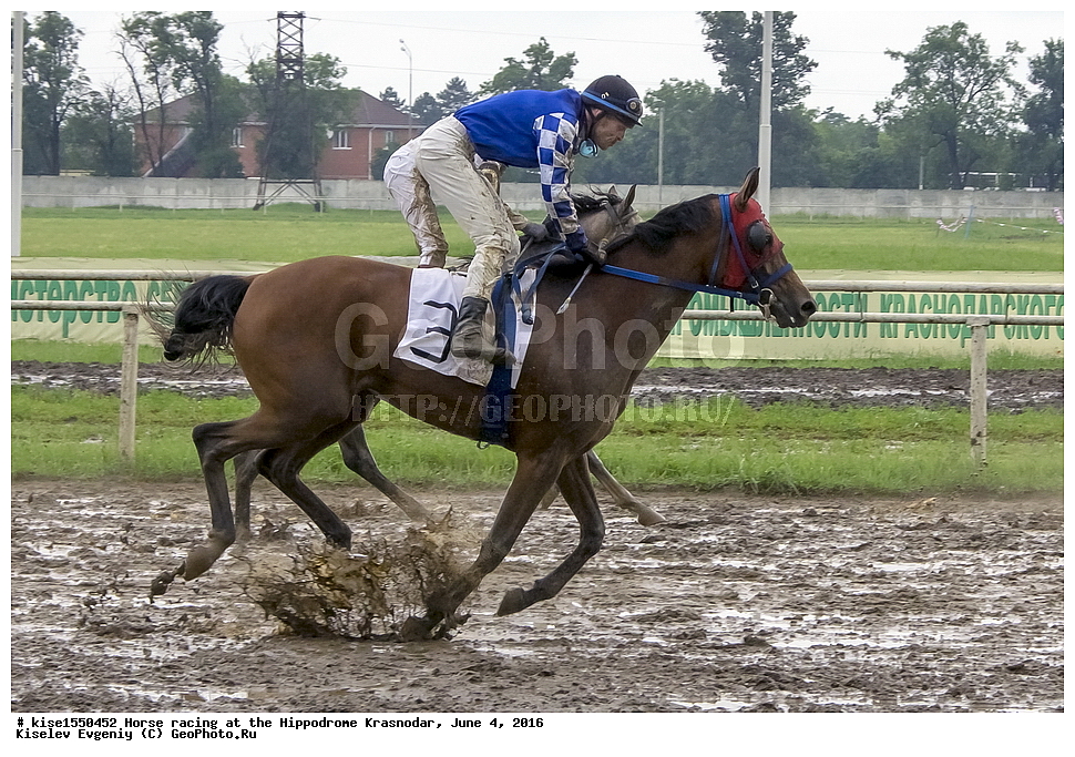 ������, ��������, ������, ����, ����, �������, ������, ����� ���������, ������������� ��������, ������ �����, ����,  �����, ��������, �������, �����,  ��������, ������,  ������, ��������