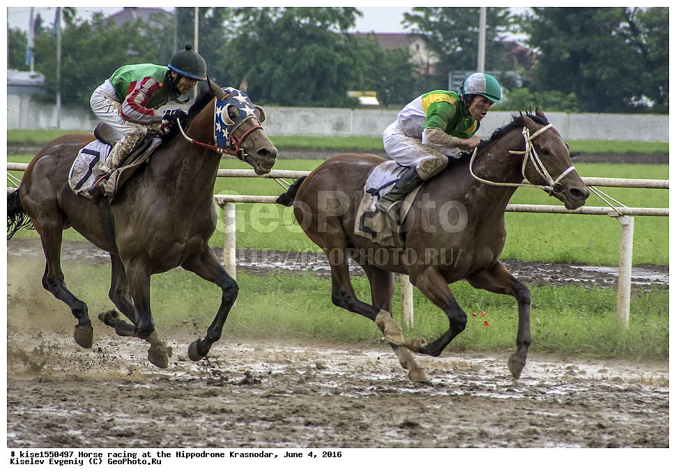 ������, ��������, ������, ����, ����, �������, ������, ���������, �����, �����, ������ �����, �����, ������-�����, �����, ��������, ���������, ����, �����, ����������, ������������, ������, ��������