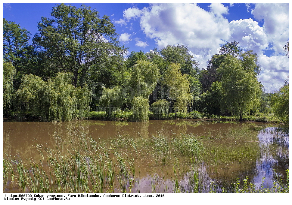 ������, ��������, �����, ����������, ����������� �����, ����, ����, ������, ������������� ����, �������, ������, �����, ����, �����,  ������, �������, ���, ��������, �����, �����, ��������������, �����, �����, ����, ������, ������, ���������,