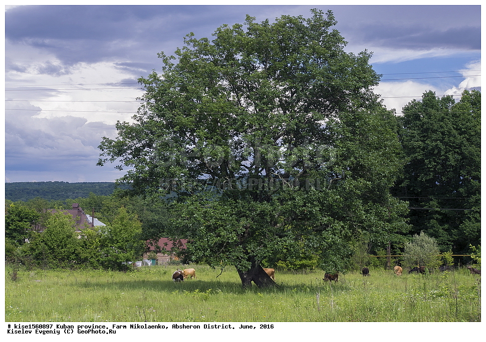 ������, ��������, �����, ����������, ����������� �����, ����, ����, ������, ������������� ����, ������, ���, ������, ���, ����,  ��������, ��������, ������, �����, ��������, ������,