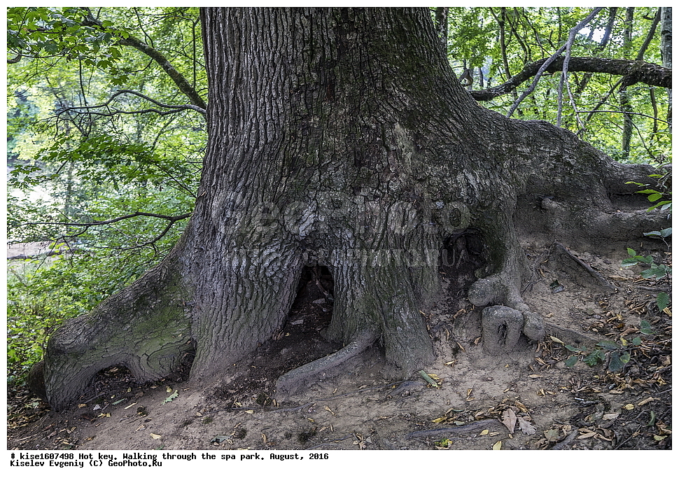 ������� ����, ������, ����, ������, ����, ������, ������������� ����, �����-������, ����, ��������� ����, �������, ������, ���, ������, ������, �����, ����, ����, ������