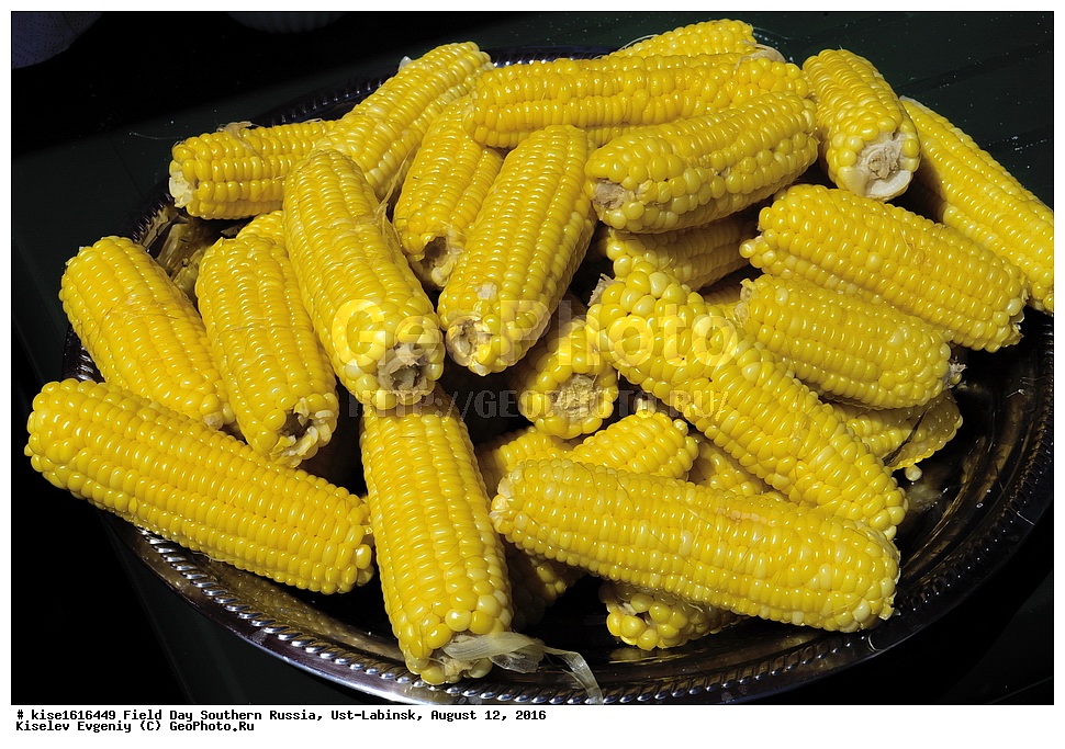 ���� ���� ���, ������, ����-�������, ������, ����, ������������� ����, �������� ���������, ��������, �������, ����, �������, ��������, �����, ��������, ��������, �������, �������, �������, 