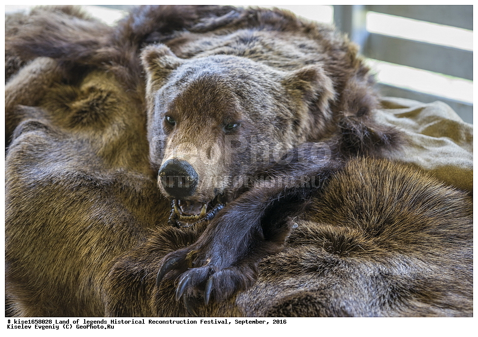 ���������, �������������, ����� ������, ��������, ������, ������������� ����, ��������� �����, �������, �������, ����, ���������, ������, ������������ �������������, ���������, ����� ������,  �������, �����, �������, ��������, ��������, �����, �������, �������, ������, ����, ������ ������, ��������