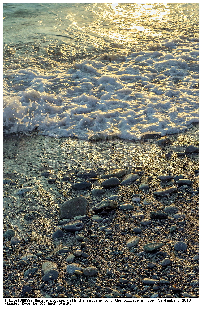 ������� �����, ����, �����, ������, ������, �������, ���, ��������, ������, ������������� ����, ����, ����, ������ ����, ����, �����, ����, ����, �����, ����, �����, ������, ������,