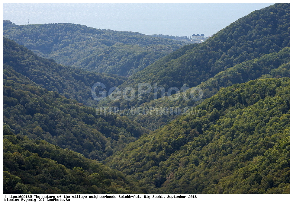 �������, �����������, �������, �����-���, ��������, ������, ������������� ����, ����, ����, �����, ���, ������, ��������,  �����, ������