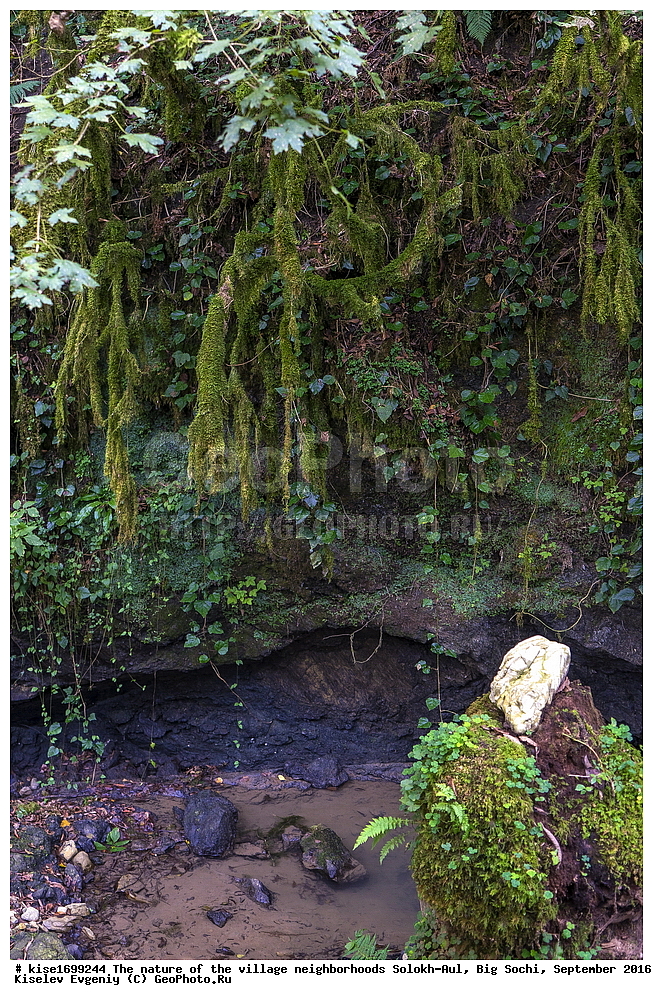 ������, �����������, �������, �����-���, ��������, ������, ������������� ����, ����, ����, �����, ����, �����, ������, �����, ���������, �������, ������, �������, ���, �����, �����, �����, ���, ������, ���, ��������, ������, ��������