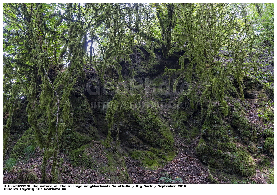 ������, �����������, �������, �����-���, ��������, ������, ������������� ����, ����, ����, �����, ����, �����, ������, �����, ���������, �������, ������, �������, ���, �����, �����, �����, ���, ������, ���, ��������, ������, ��������