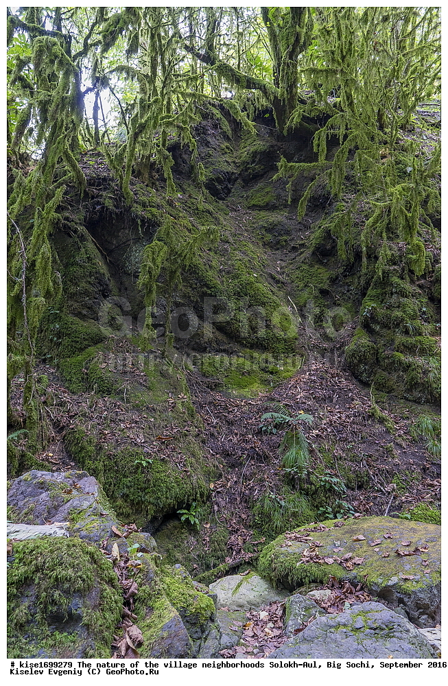 ������, �����������, �������, �����-���, ��������, ������, ������������� ����, ����, ����, �����, ����, �����, ������, �����, ���������, �������, ������, �������, ���, �����, �����, �����, ���, ������, ���, ��������, ������, ��������