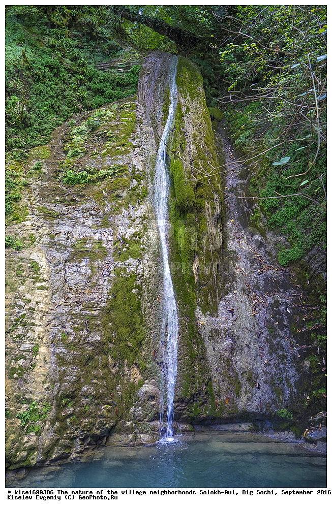 ������, �����������, �������, �����-���, ��������, ������, ������������� ����, ����, ����, �����, ����,  ����, �������, �����, �����,  �����, ������, �������, ���, ������, ��������