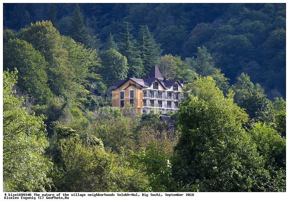 ������, �����������, �������, �����-���, ��������, ������, ������������� ����, ����, ����, �����, ���, ������, �������, ��������, ���������, ������, ���, �����, �����, ����, ������������ �������, ������, ��������, �������, ����, ������, 