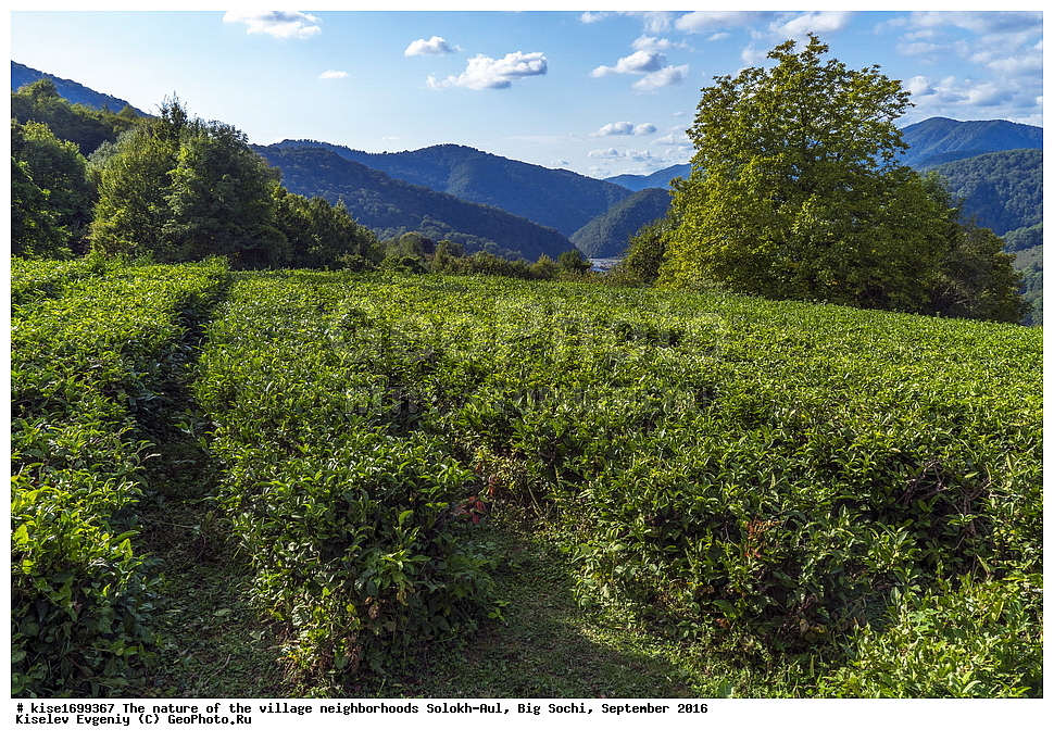 ������, �����������, �������, �����-���, ��������, ������, ������������� ����, ����, ����, �����, ��������, ���������, ���������, ���, �����, ����, �������, �����, ����������, ������