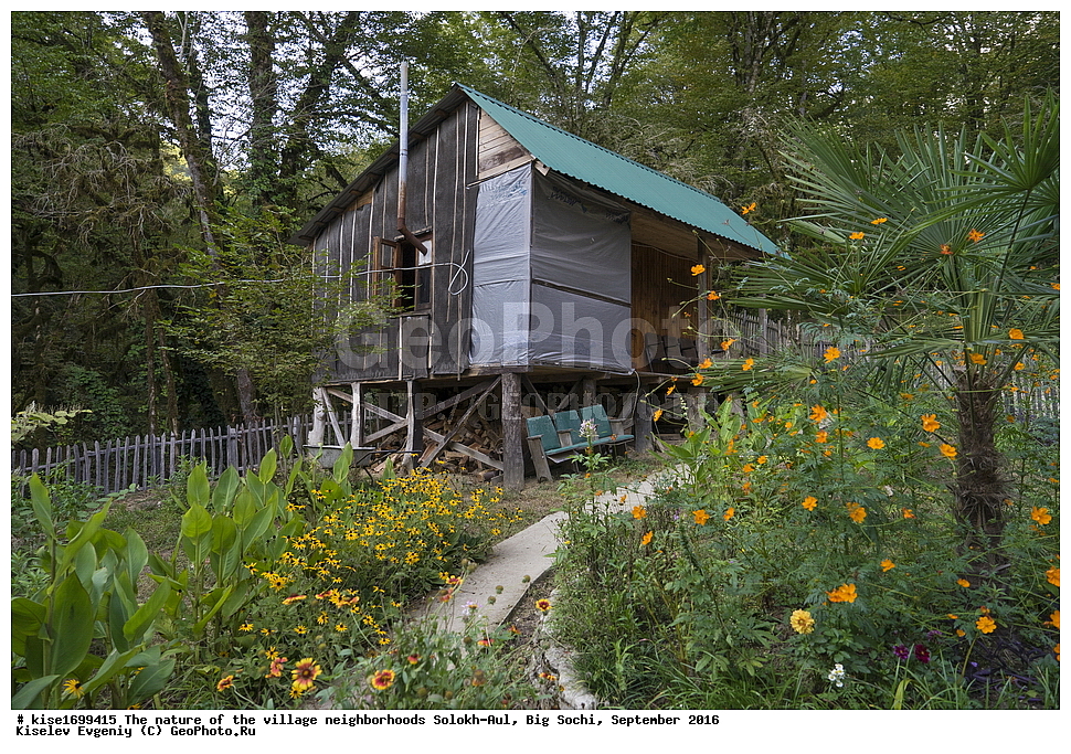 ������, �����������, �������, �����-���, ��������, ������, ������������� ����, ����, ����, �����, ���, ������, �������, ��������, ���������, ������, ���, �����, �����, ����, ������������ �������, ������, ��������, �������, ����, ������, 