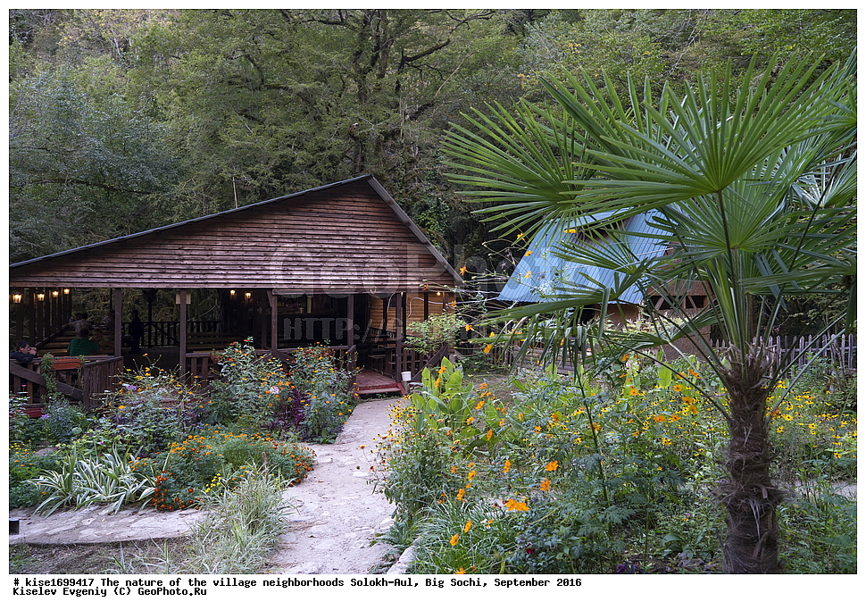 ������, �����������, �������, �����-���, ��������, ������, ������������� ����, ����, ����, �����, ���, ������, �������, ��������, ���������, ������, ���, �����, �����, ����, ������������ �������, ������, ��������, �������, ����, ������, 