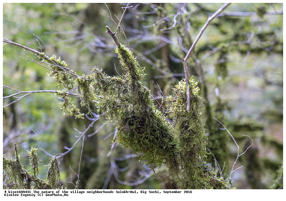 ������, �����������, �������, �����-���, ��������, ������, ������������� ����, ����, ����, �����, ����, �����, ������, �����, ���������, �������, ������, �������, ���, �����, �����, �����, ���, ������, ���, ��������, ������, ��������